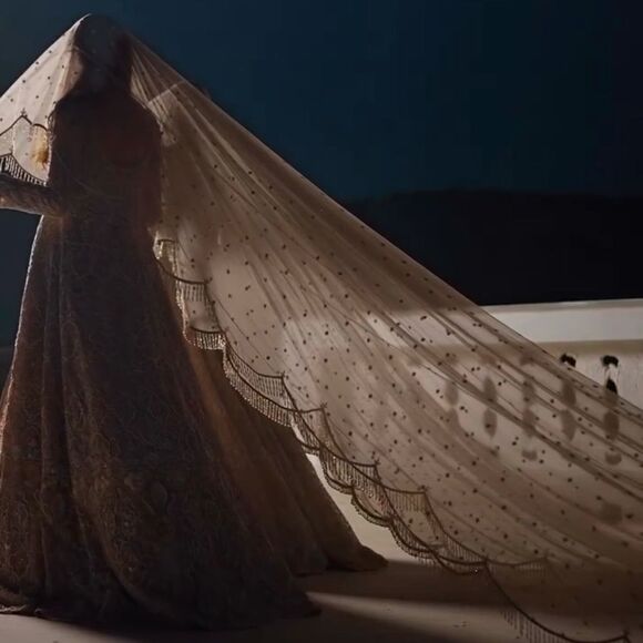 BRIDAL WEDDING BEADED EMBELLISHED VEIL PAKISTANI INDIAN DESIGNER - Picture 1 of 7